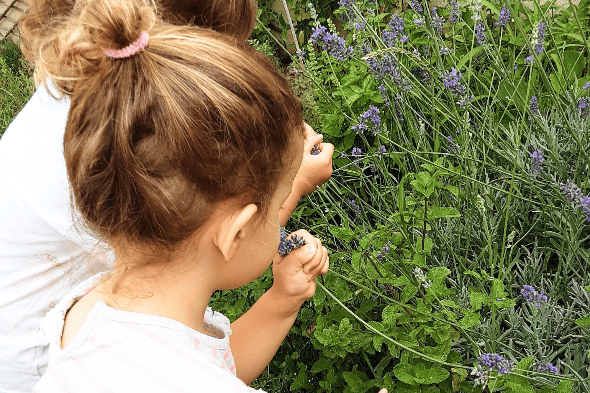 Activité enfant jardinage et transvasement de graines