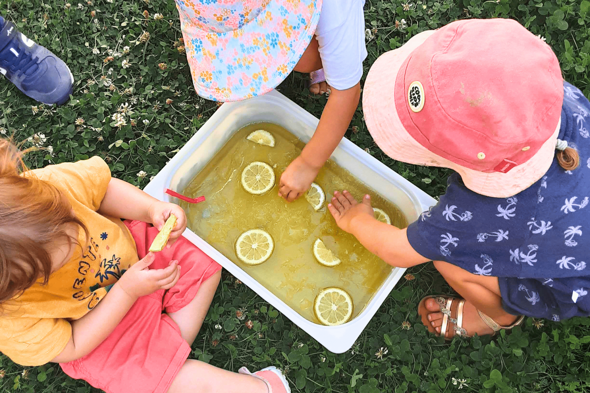 Crèche green - écoresponsable