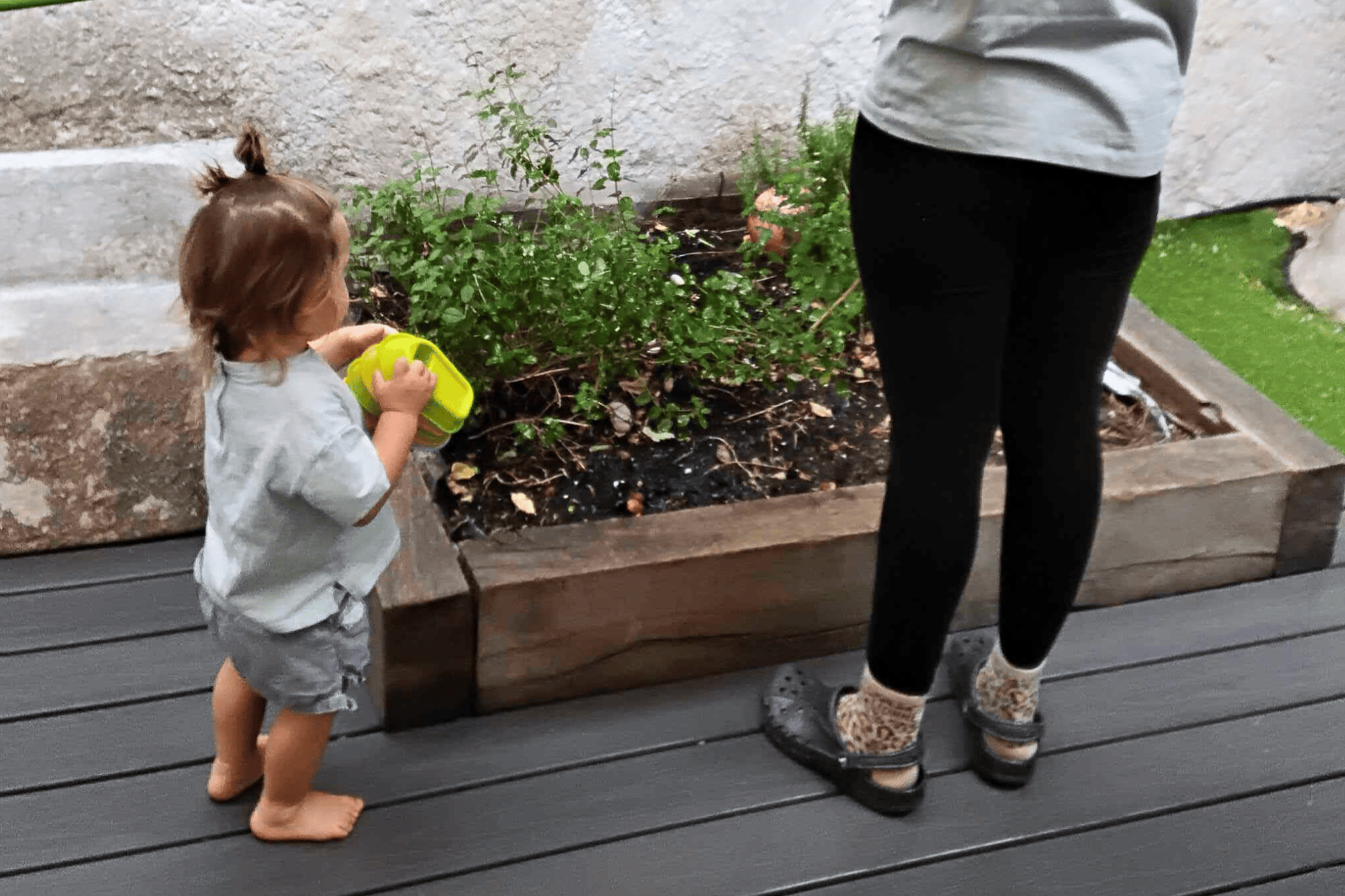 Entretien du potager de la crèche Nursea Baille avec les enfants