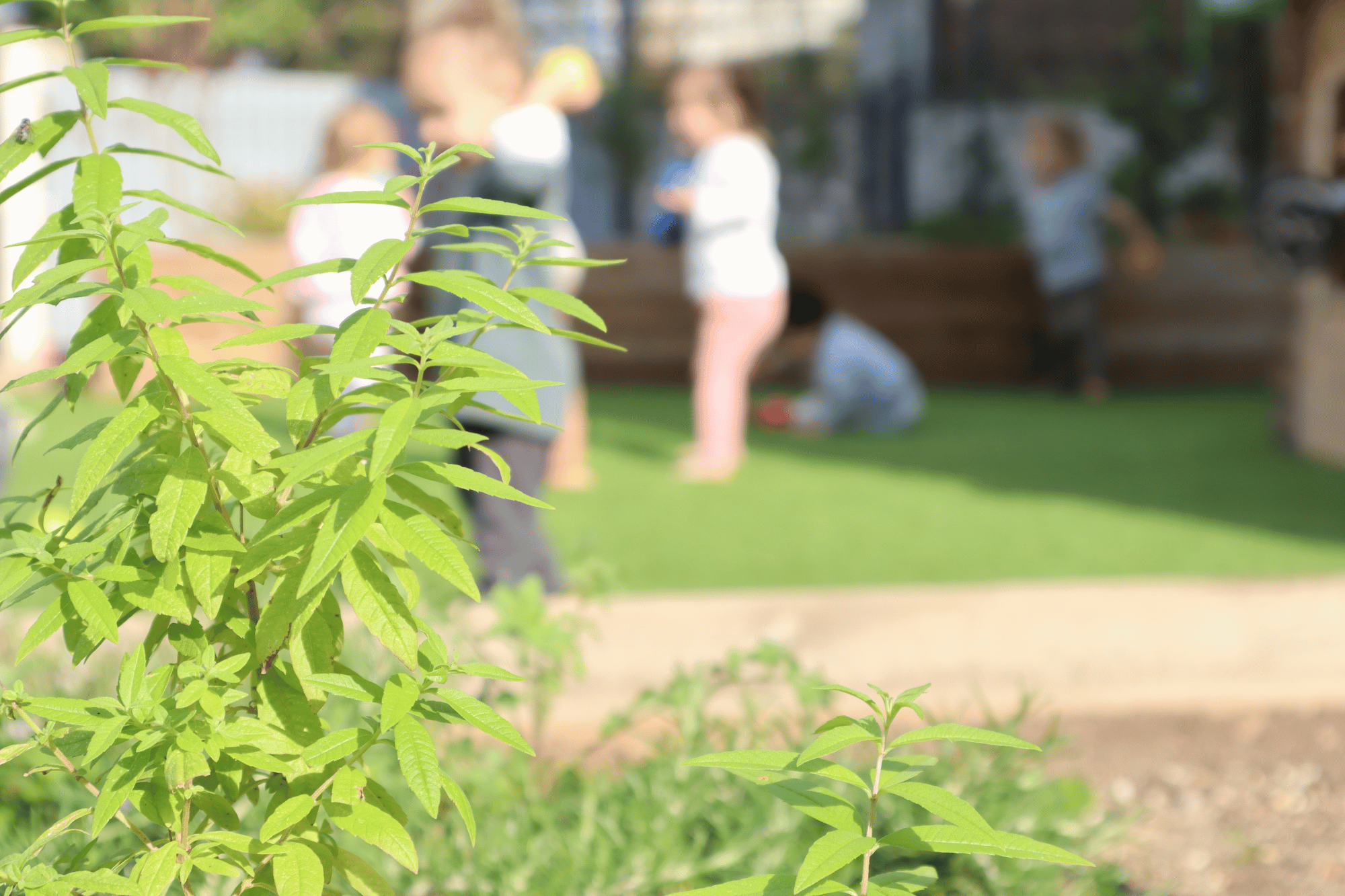 la nature a une place centrale dans la pedagogie des crèches nursea