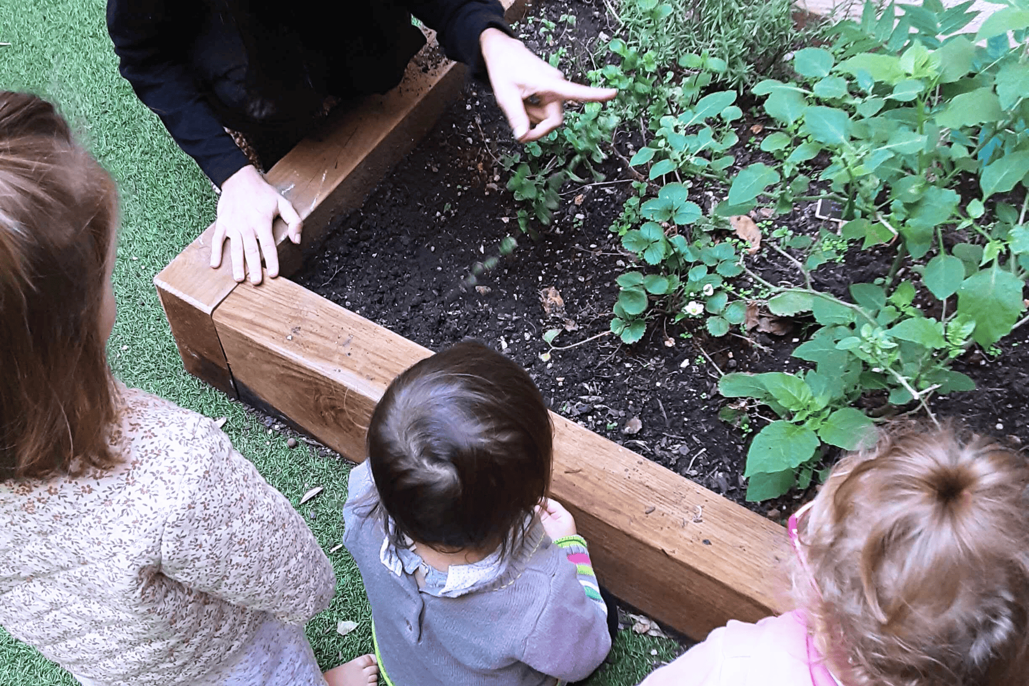 Potager de la crèche Nursea Pharo