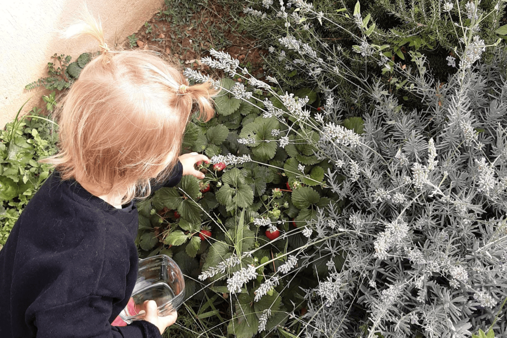 Jardinage avec les enfants dans la crèche Nursea Ganay