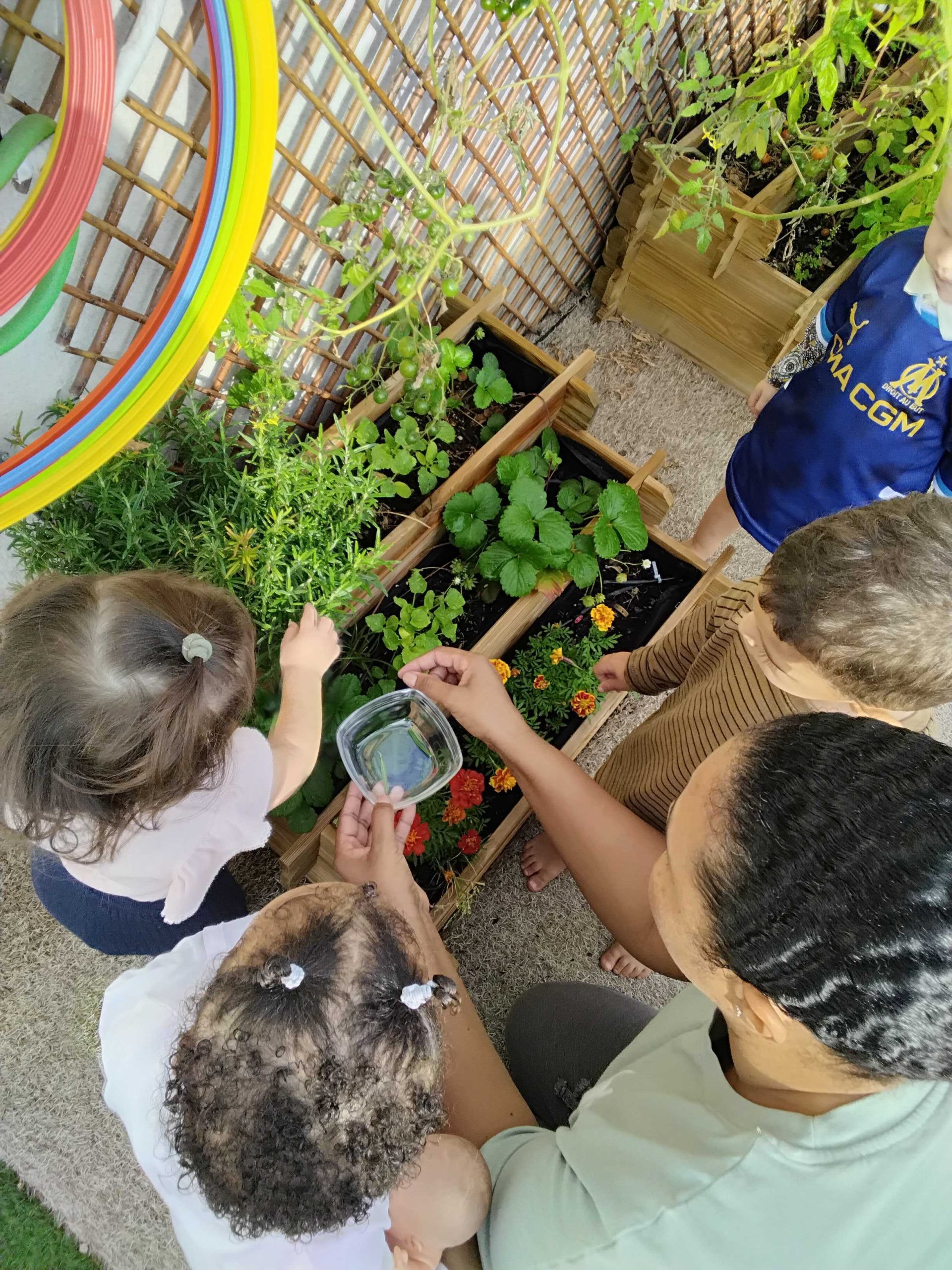 Eveil à la nature dans les crèches Nursea