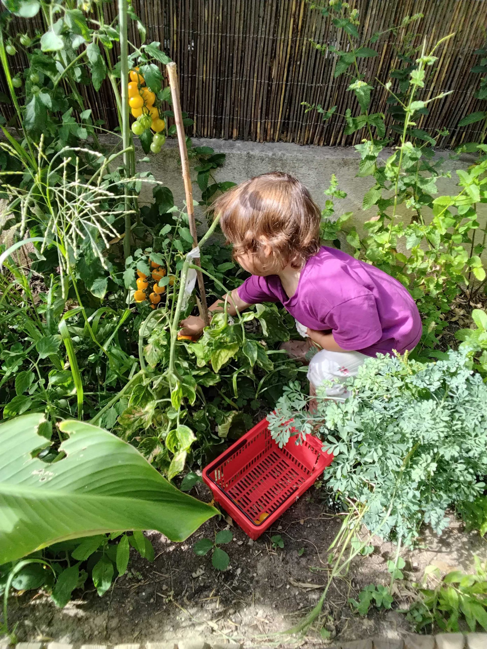 RSE pratiques environnementales chez Nursea