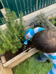 atelier jardinage et transvasement de graines chez Nursea