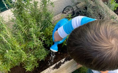 Atelier jardinage et transvasement de graines