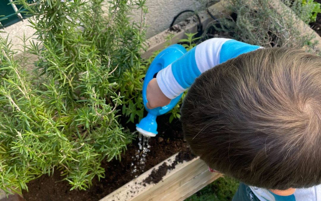 atelier jardinage et transvasement de graines chez Nursea