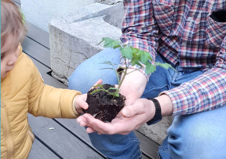 journée du bien vivre-ensemble collaboration et inclusion chez Nursea