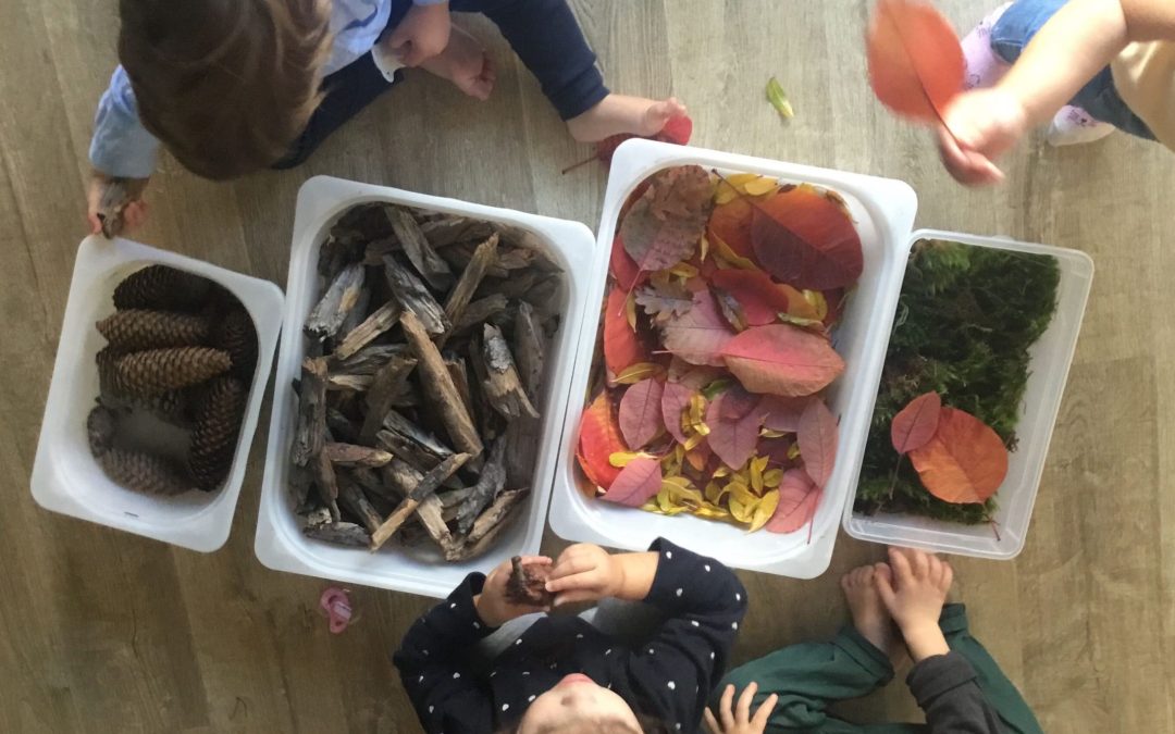 Bacs sensorielles autour de la nature